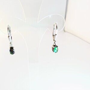 Silver Ammolite Earrings With Leverback Closure